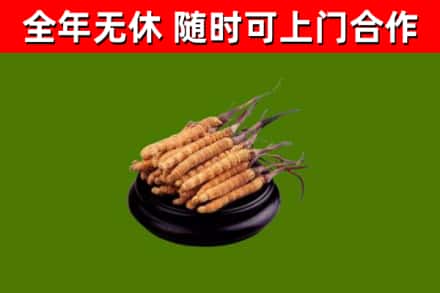 湛河区烟酒回收冬虫夏草.jpg